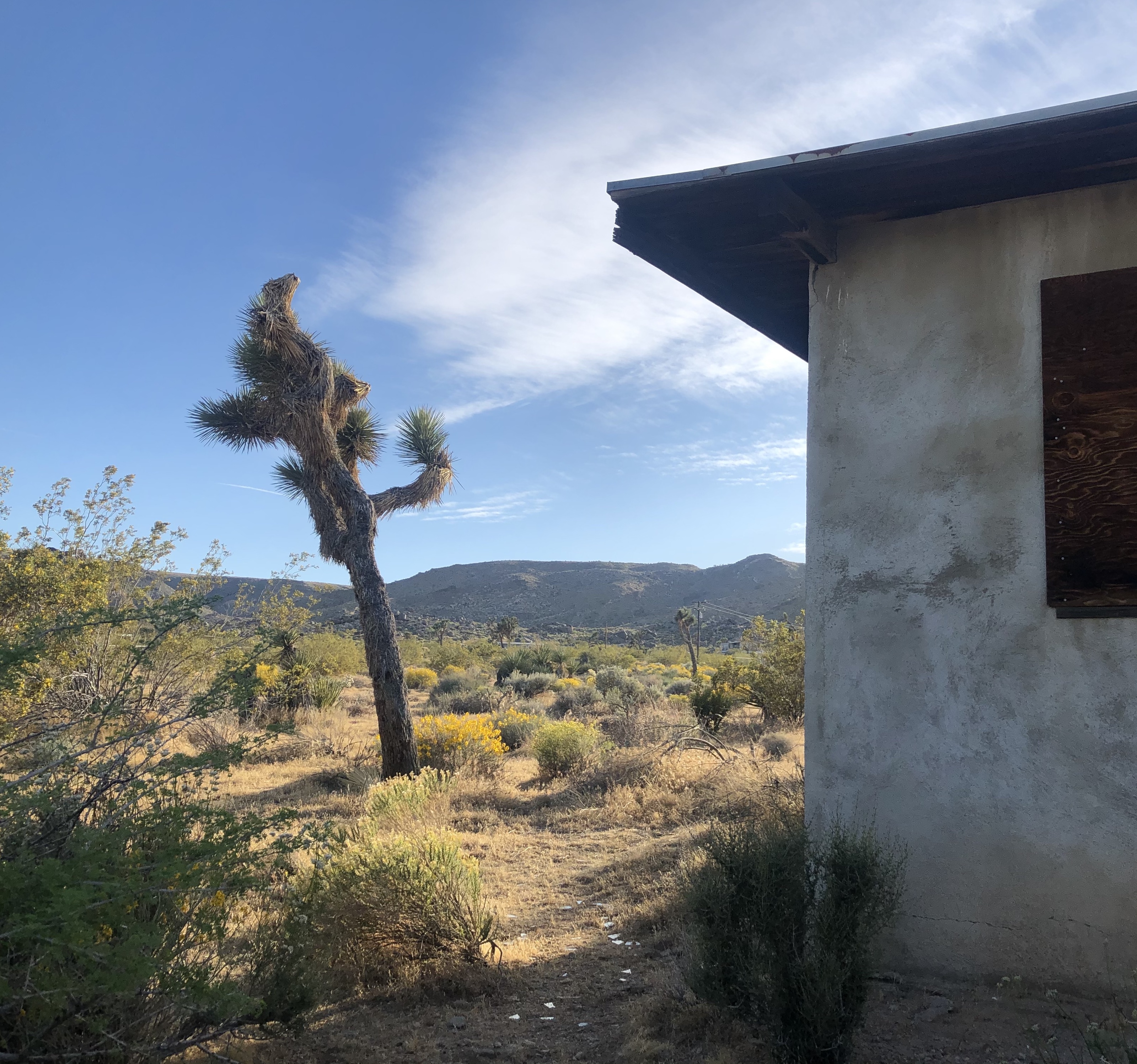 Julian Christensen's Picture